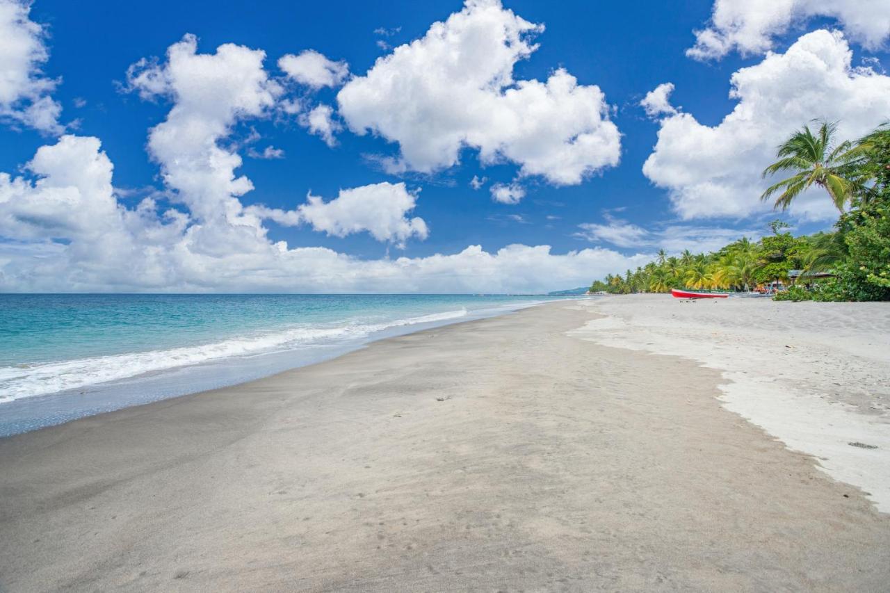Appartement Charmant Au Carbet Avec Vue Sur La Mer 50 M² Le Carbet Bagian luar foto